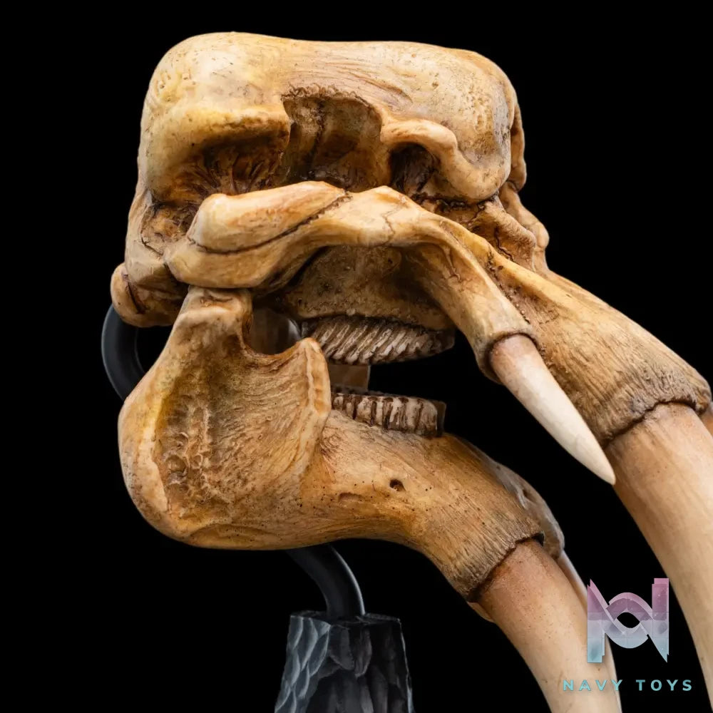WETA Workshop Studio – SKULL OF A MÛMAK 86-13-04691 (Licensed)
