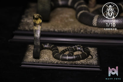 Aphid Studio – Northern King Cobra (Licensed)