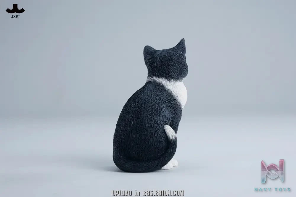 JXK – Well-behaved cat sitting JXK352 (Licensed)