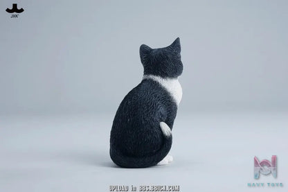 JXK – Well-behaved cat sitting JXK352 (Licensed)