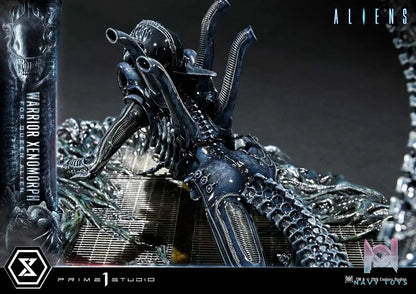 Prime 1 Studio – Ultimate Diorama Masterline Aliens (Film) Warrior Xenomorph for Queen Alien UDMAL-02 (Licensed)