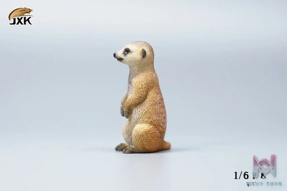 JXK – 1/6 Ono pig X Suricate (Licensed)