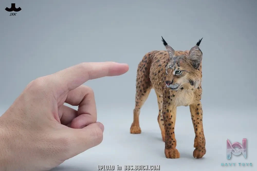JXK – Lynx JXK361 (Licensed)