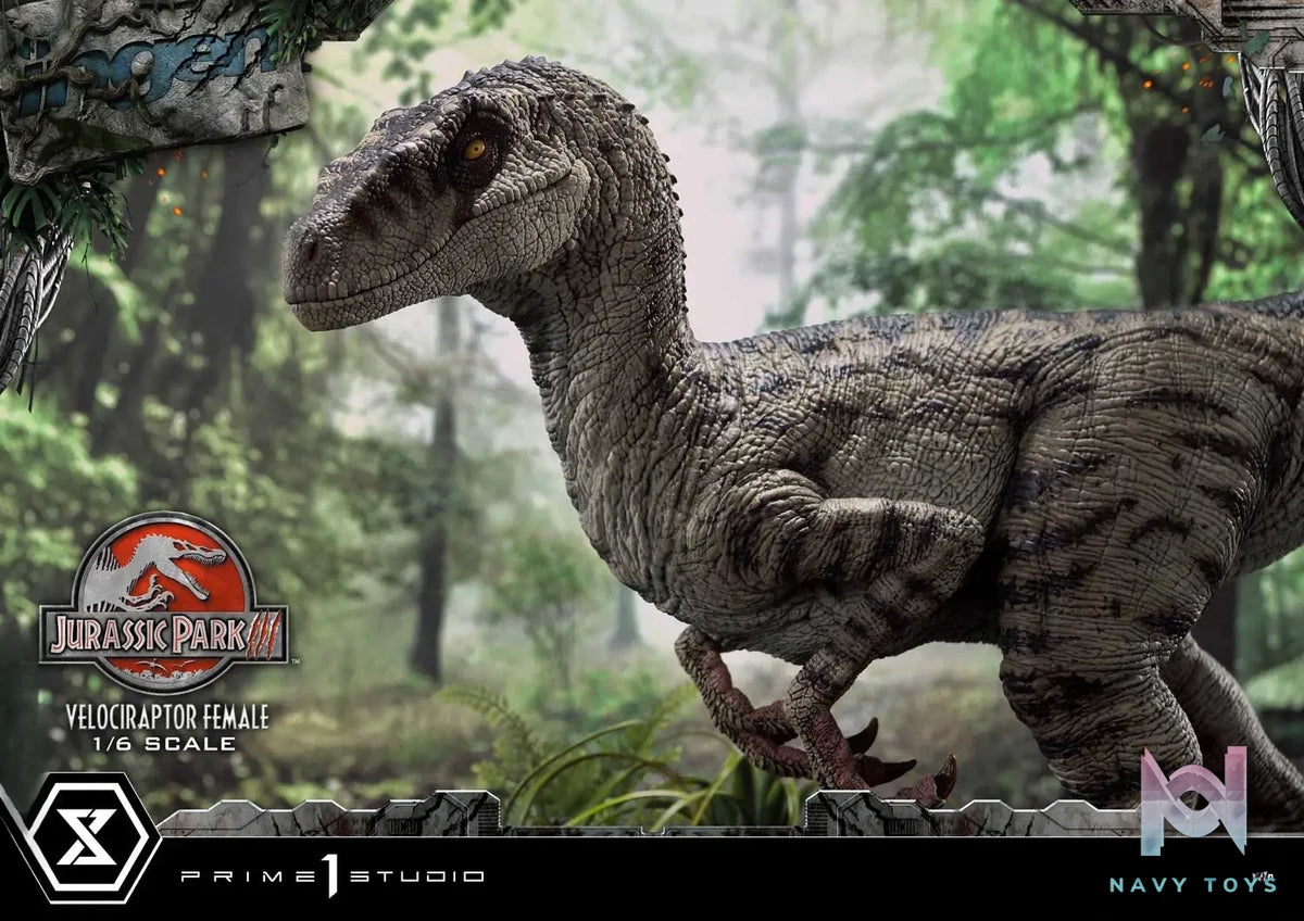 Prime 1 Studio – Legacy Museum Collection Jurassic Park III (Film) Velociraptor Female LMCJP-11 LMCJP-11S (Licensed)