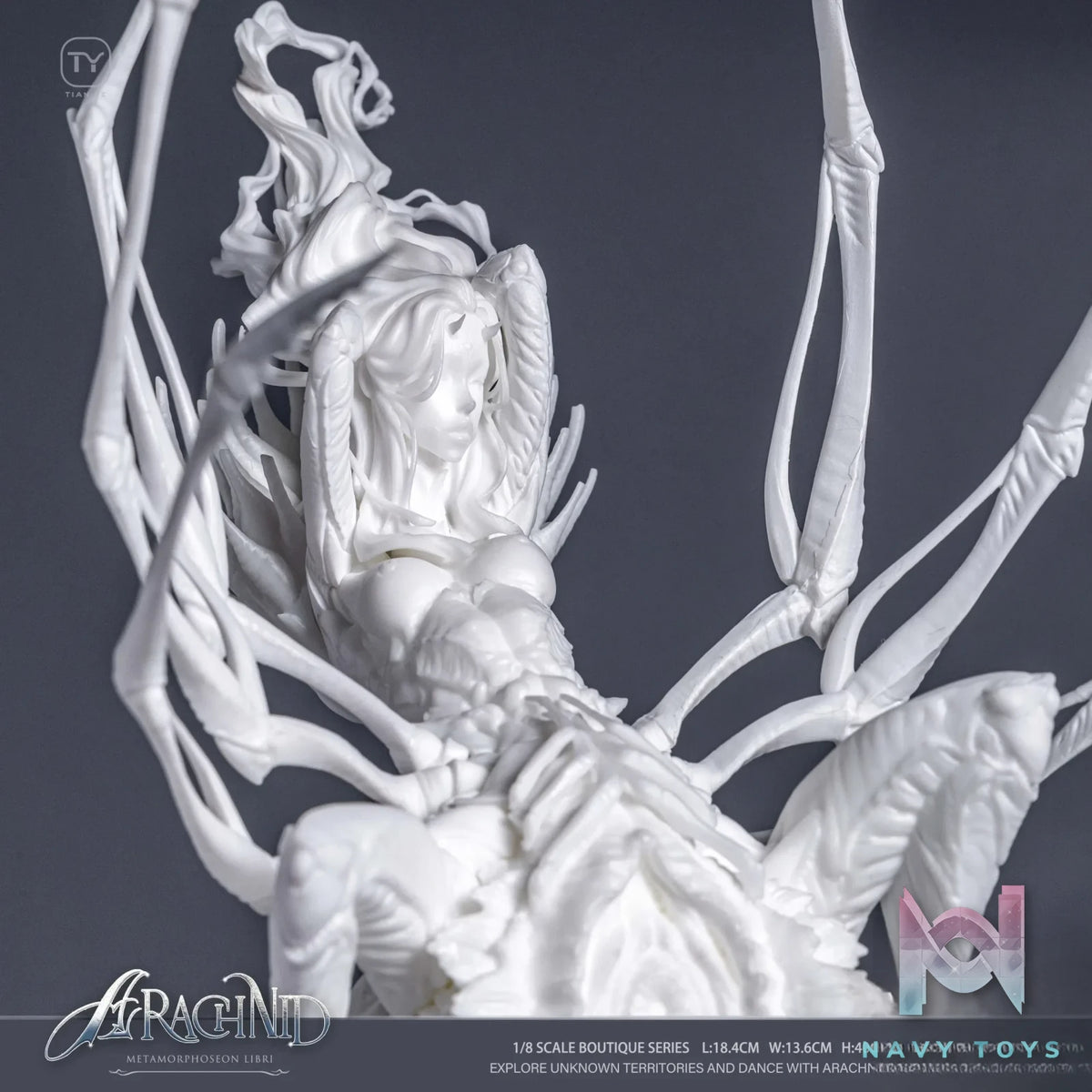 TianYe Studio – Original Arachnid (Licensed)