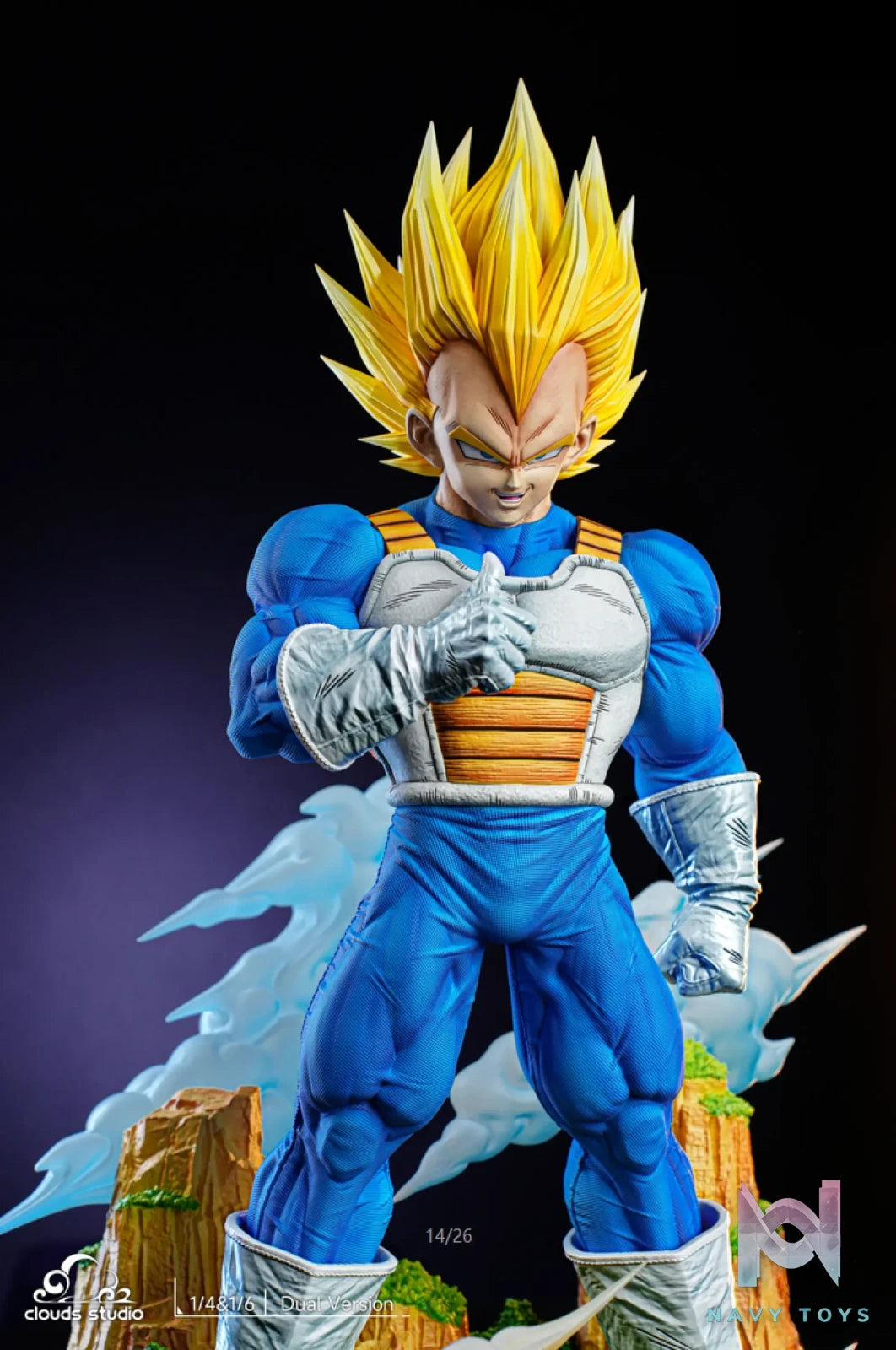 Clouds Studio – Dragon Ball Vegeta