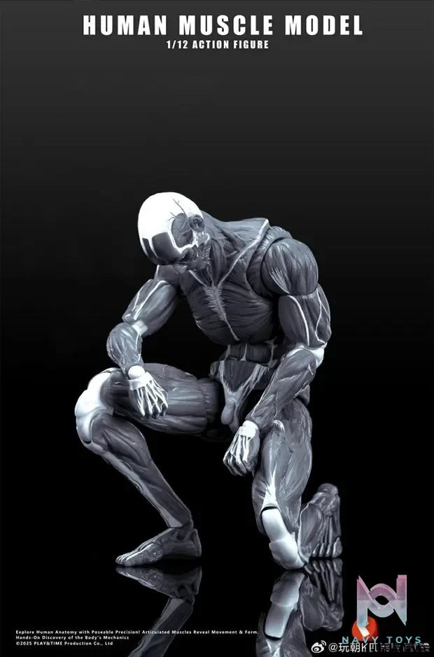KEEPGOING – Human Muscle Model 1/12 Highly Articulated Figure (Licensed)