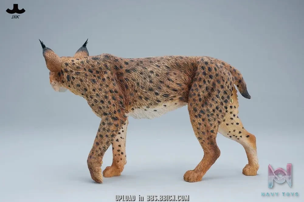 JXK – Lynx JXK361 (Licensed)