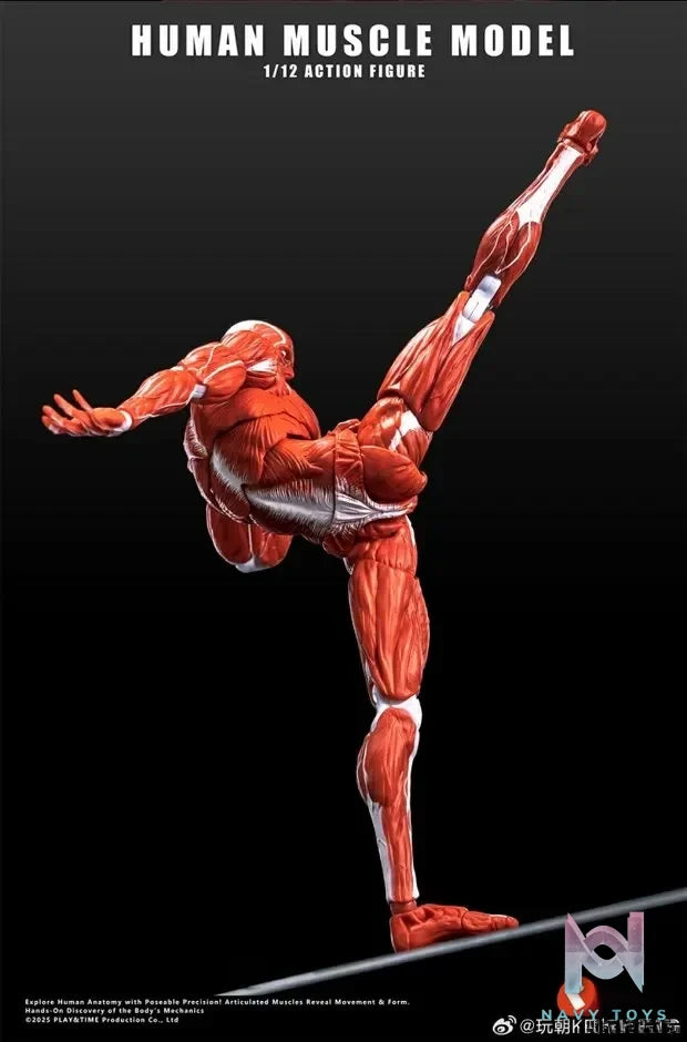 KEEPGOING – Human Muscle Model 1/12 Highly Articulated Figure (Licensed)
