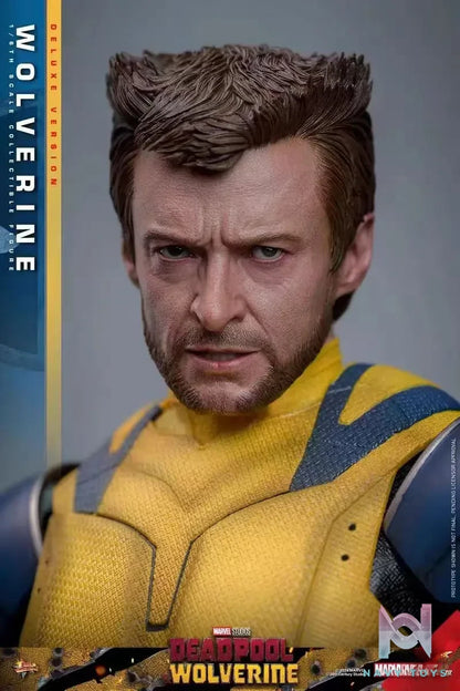 HOTTOYS Studio – Marvel Deadpool & Wolverine 1/6 Wolverine MMS753 Regular version & MMS754 Deluxe version (Licensed)
