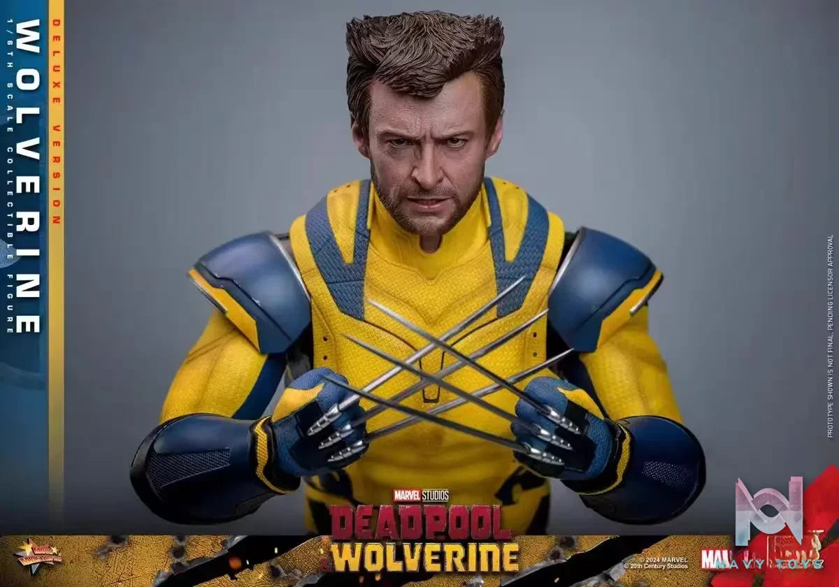 HOTTOYS Studio – Marvel Deadpool & Wolverine 1/6 Wolverine MMS753 Regular version & MMS754 Deluxe version (Licensed)