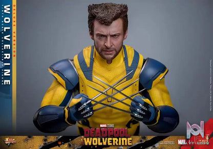HOTTOYS Studio – Marvel Deadpool & Wolverine 1/6 Wolverine MMS753 Regular version & MMS754 Deluxe version (Licensed)