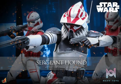 Hottoys – Sergeant Hound 1/6 Scale Collectible Figure TMS167 (Licensed)