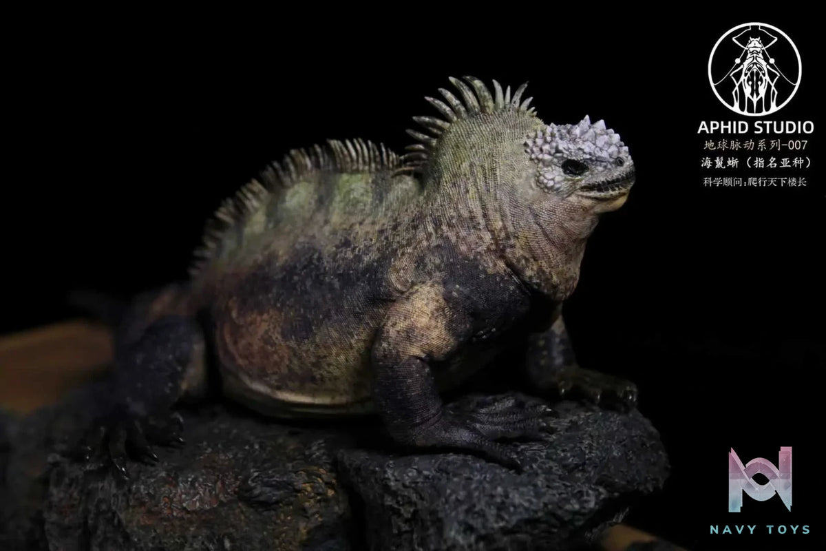 Aphid Studio – Planet Earth – Marine Iguana (Licensed)