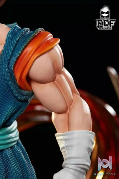 FDF Studio – Dragon Ball Vegito