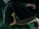 IRON Studio - Statue Voldemort and Nagini Harry Potter Legacy Replica 1/4 (Licensed)