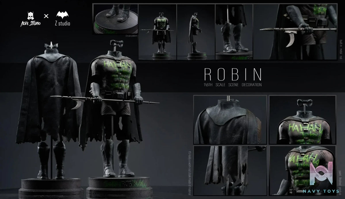 Alex Studio & Z Studio – DC BVS Robin Suit