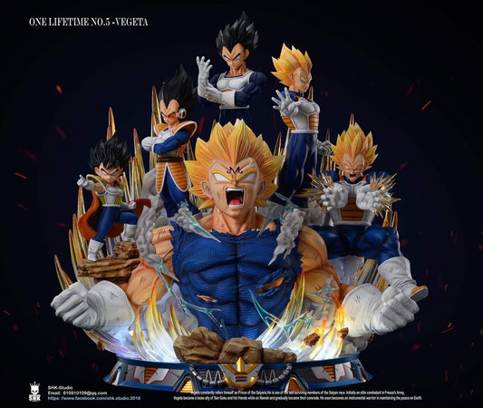 Vegeta - Dragon Ball - SHK Studio resin statue SHK Studio anime figure