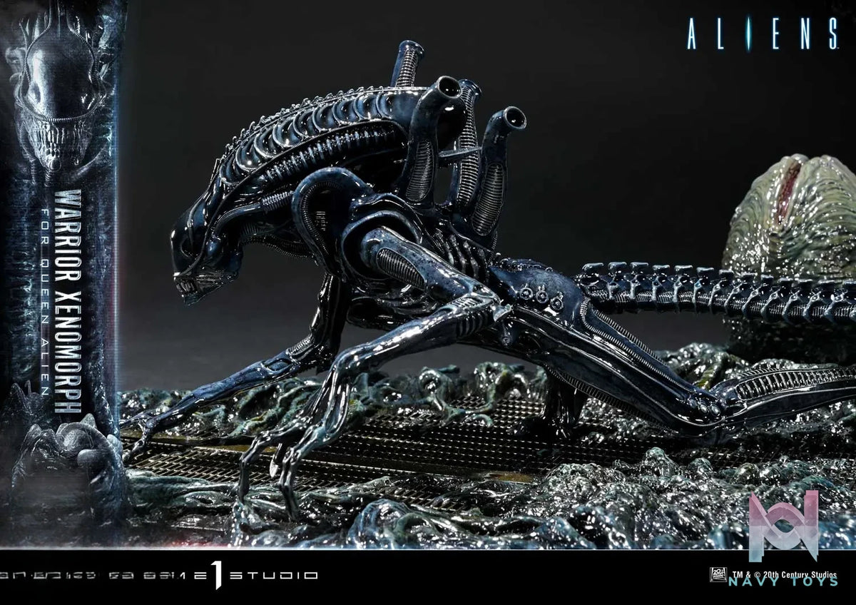 Prime 1 Studio – Ultimate Diorama Masterline Aliens (Film) Warrior Xenomorph for Queen Alien UDMAL-02 (Licensed)