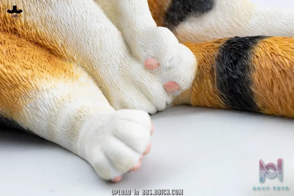JXK – 1/3 Relaxing Cat JXK357 (Licensed)