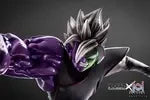 XCEED Studio – Dragon Ball Vegito vs Zamasu