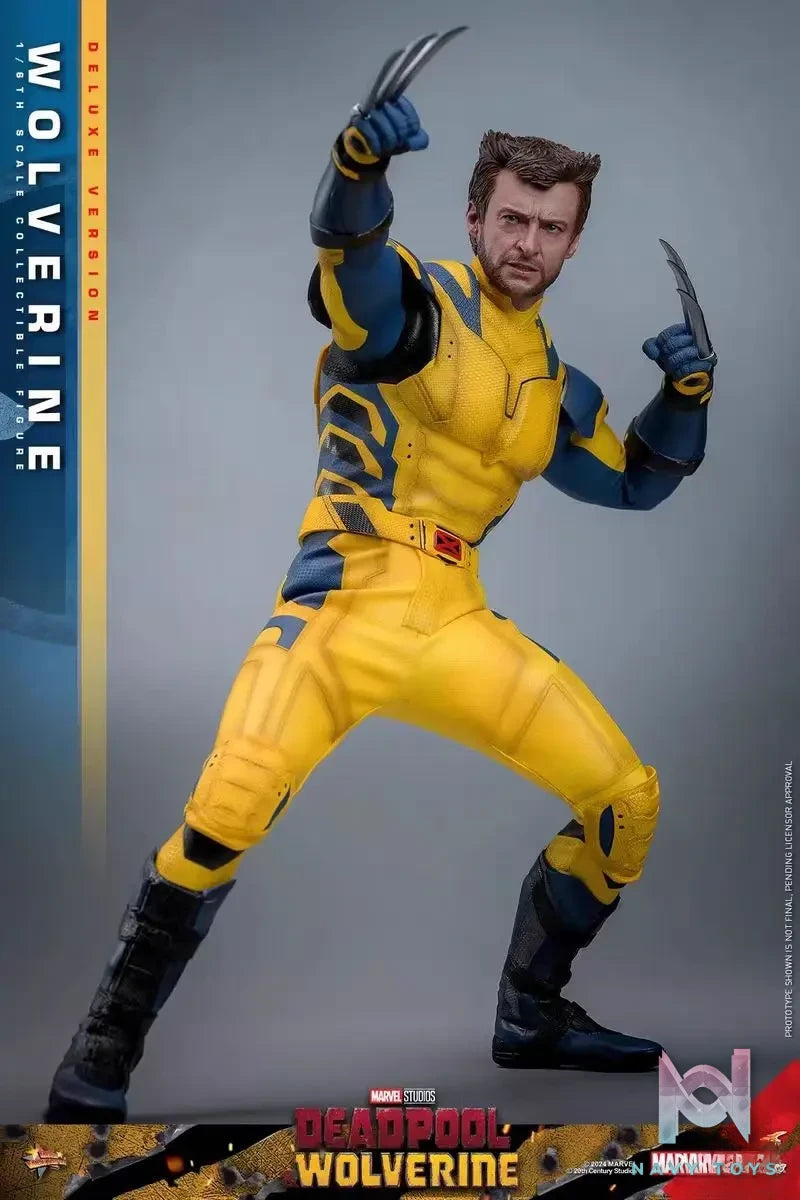 HOTTOYS Studio – Marvel Deadpool & Wolverine 1/6 Wolverine MMS753 Regular version & MMS754 Deluxe version (Licensed)