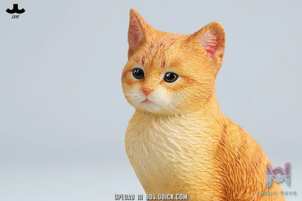 JXK – Well-behaved cat sitting JXK352 (Licensed)