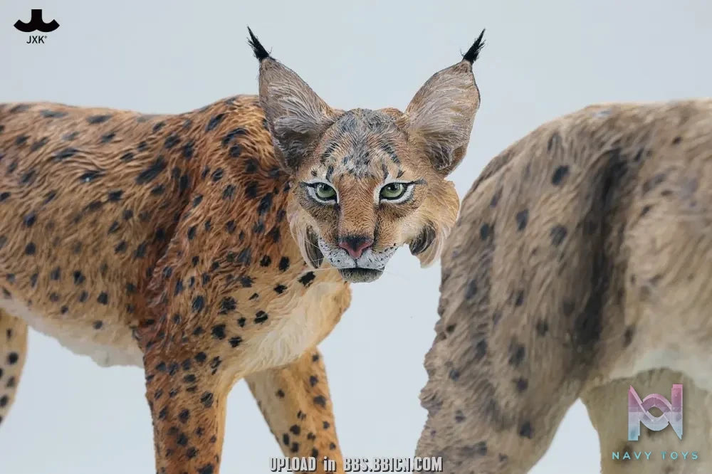 JXK – Lynx JXK361 (Licensed)