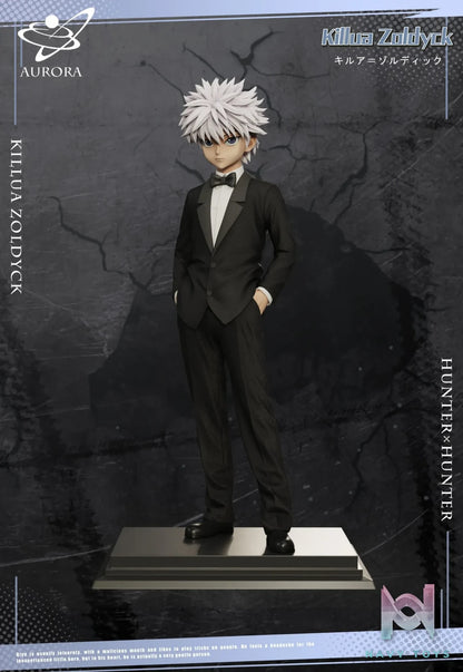 Aurora Studio – HUNTER×HUNTER Suit Series Suit ********​******