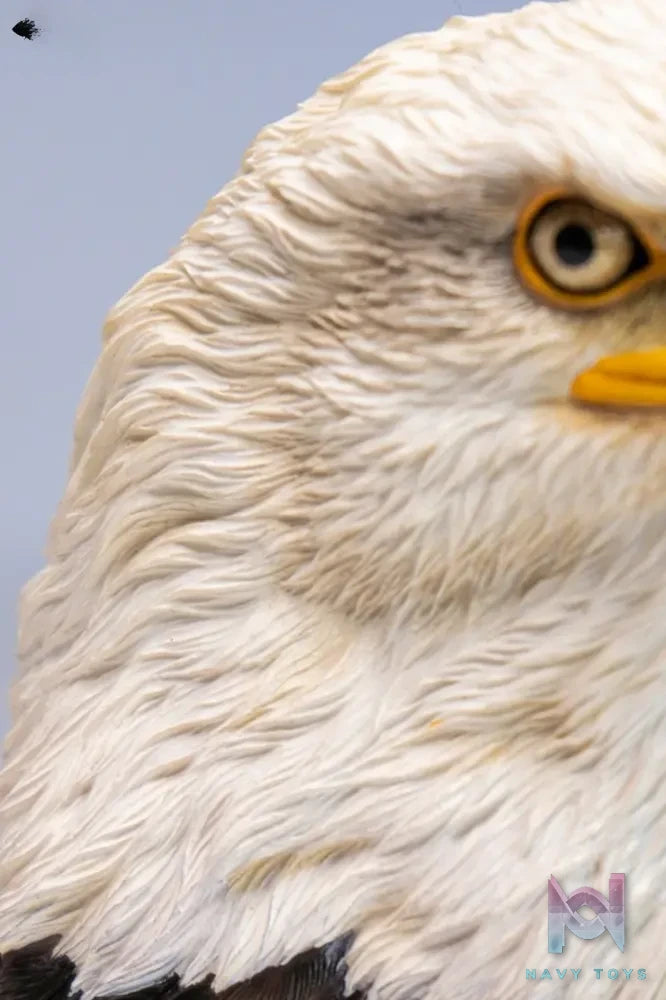 JXK – Eagle head statue SA003 (Licensed)