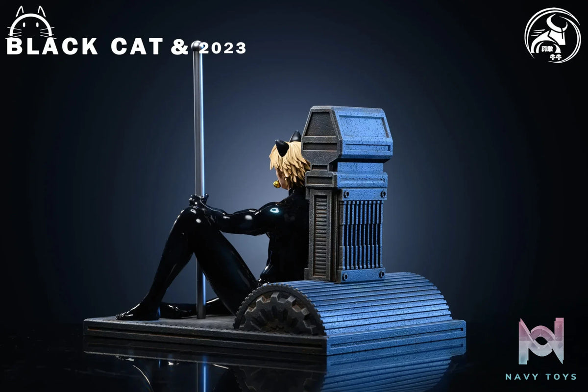 YGNN Studio – Miraculous：Tales of Ladybug & Cat Noir Cat Noir