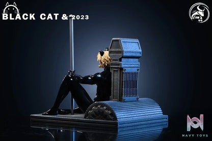 YGNN Studio – Miraculous：Tales of Ladybug & Cat Noir Cat Noir