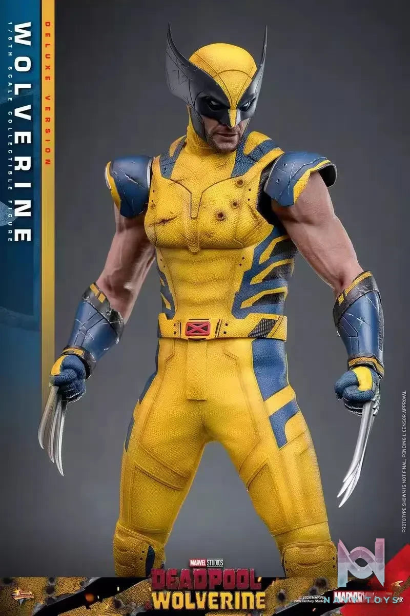 HOTTOYS Studio – Marvel Deadpool & Wolverine 1/6 Wolverine MMS753 Regular version & MMS754 Deluxe version (Licensed)