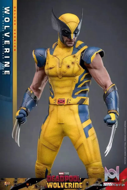 HOTTOYS Studio – Marvel Deadpool & Wolverine 1/6 Wolverine MMS753 Regular version & MMS754 Deluxe version (Licensed)