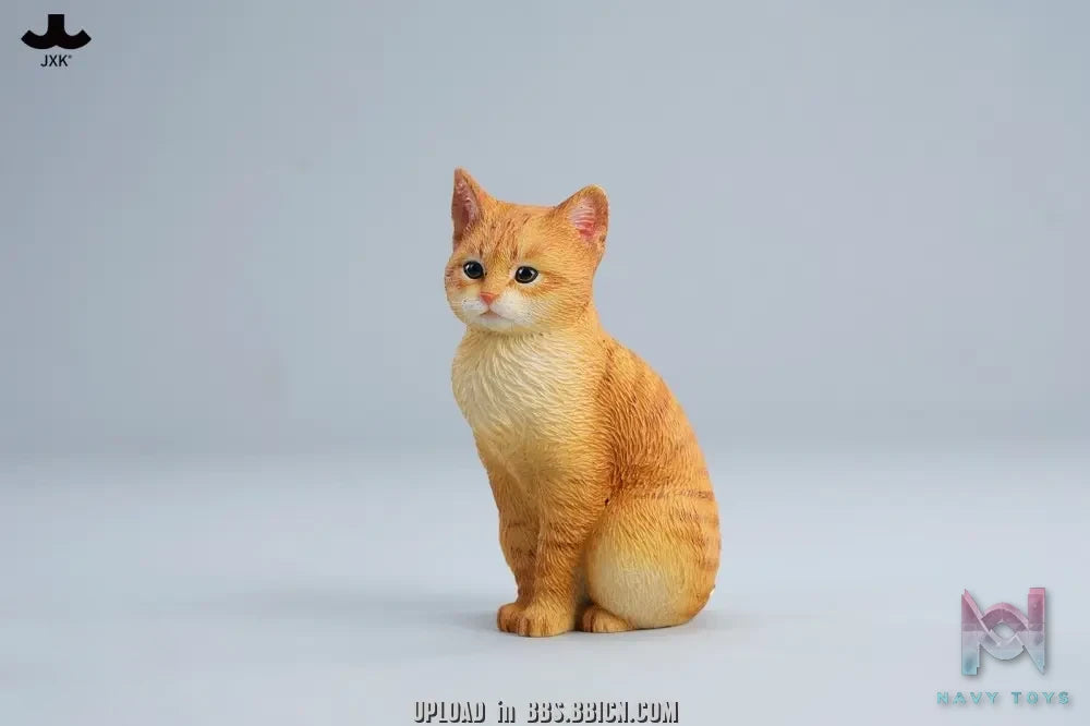 JXK – Well-behaved cat sitting JXK352 (Licensed)