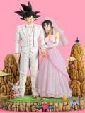 Goku & Chichi Wedding - Dragon Ball - Figure Class Studio resin statue Figure Class Studio anime figure
