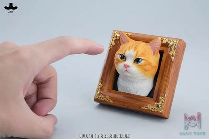JXK – Gentle-eyed country cat JS2607 (Licensed)