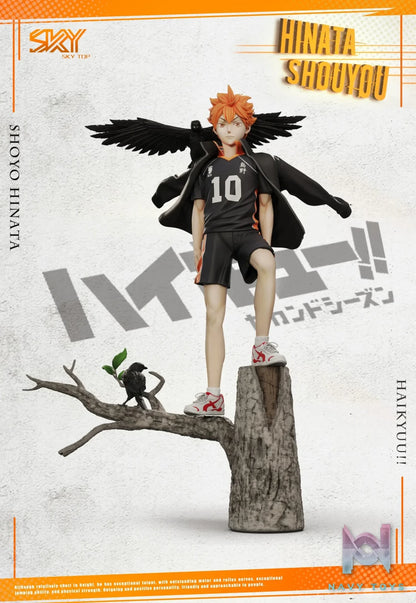 Sky Top Studio – Haikyu! Shoyo Hinata