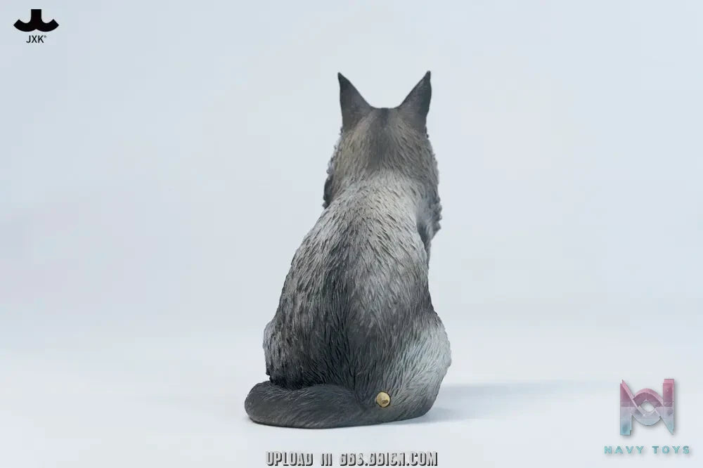 JXK – Sitting upright Maine Coon cat JXK364 (Licensed)
