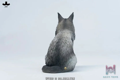 JXK – Sitting upright Maine Coon cat JXK364 (Licensed)