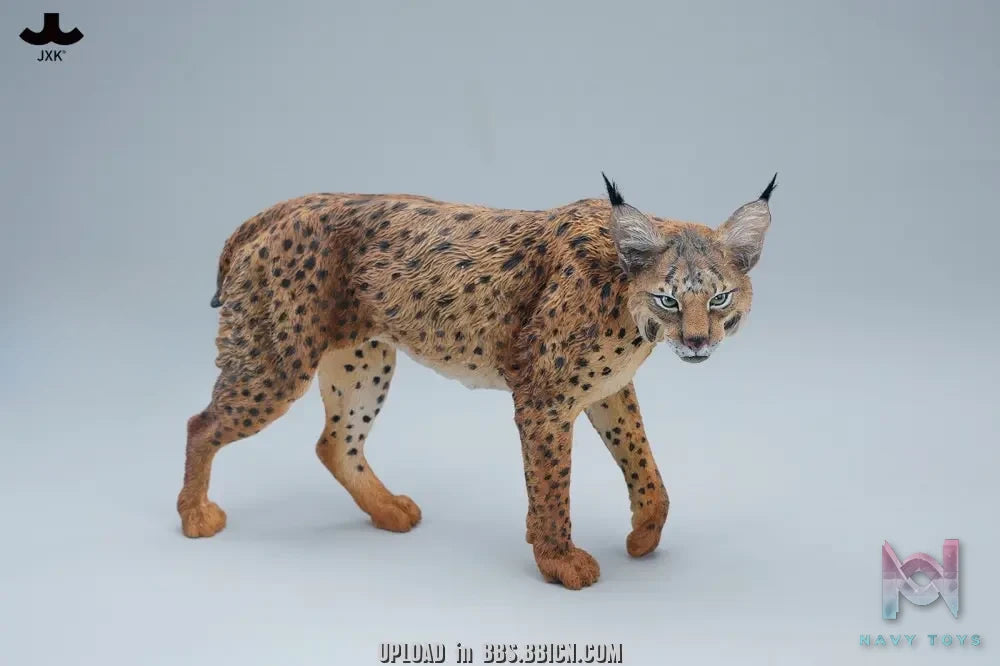 JXK – Lynx JXK361 (Licensed)