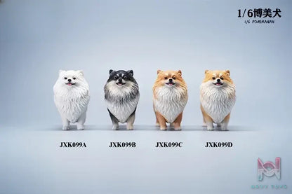 JXK – 1/6 Pomeranian JXK099 (Licensed)