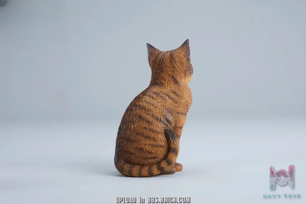 JXK – Well-behaved cat sitting JXK352 (Licensed)