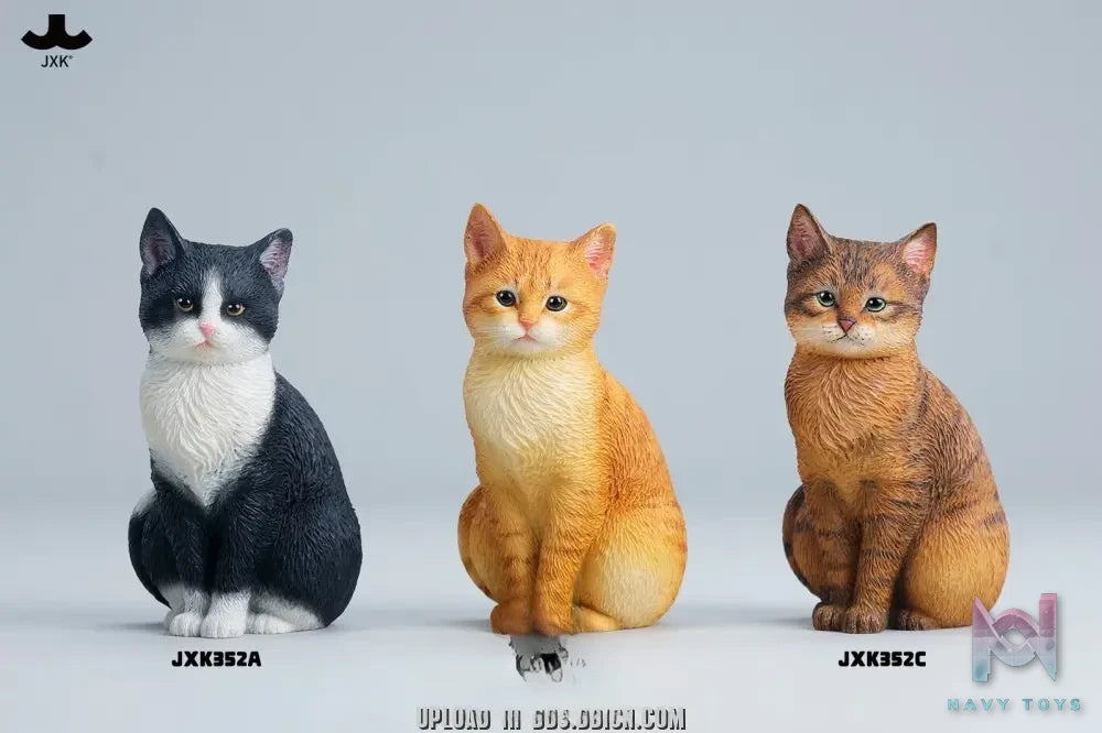 JXK – Well-behaved cat sitting JXK352 (Licensed)