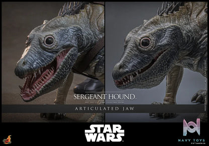 Hottoys – Sergeant Hound 1/6 Scale Collectible Figure TMS167 (Licensed)