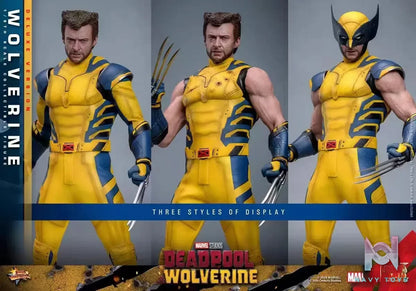 HOTTOYS Studio – Marvel Deadpool & Wolverine 1/6 Wolverine MMS753 Regular version & MMS754 Deluxe version (Licensed)