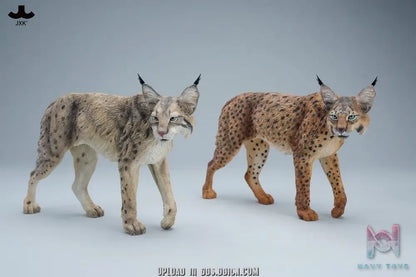 JXK – Lynx JXK361 (Licensed)