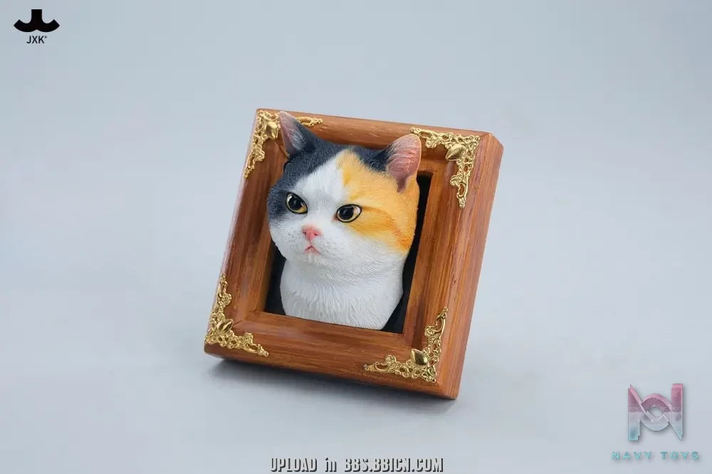 JXK – Gentle-eyed country cat JS2607 (Licensed)
