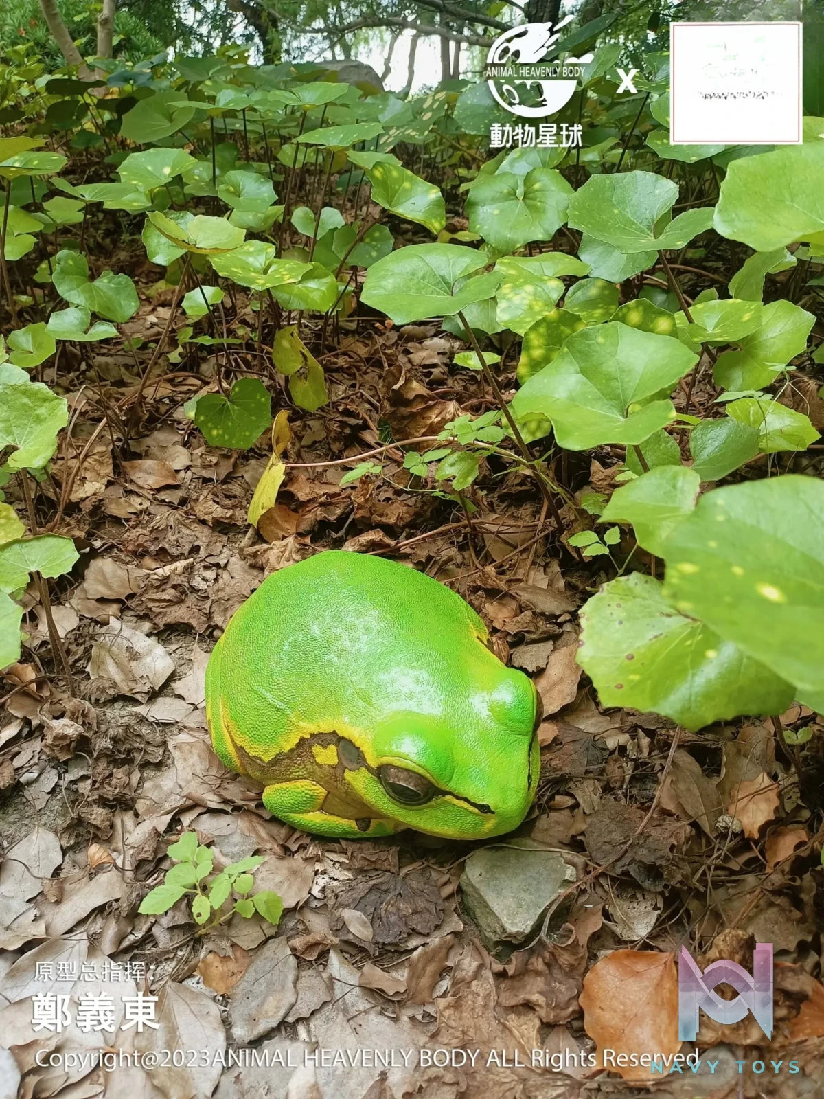 Animal Planet Studio – original Tree Frog Plus (Licensed)