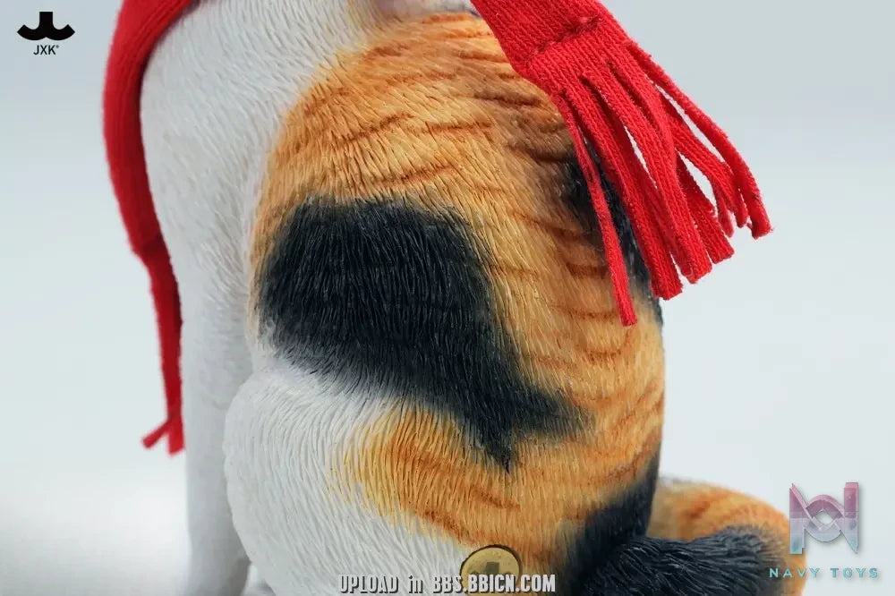 JXK – Warm cat in winter corner JXK349 (Licensed)